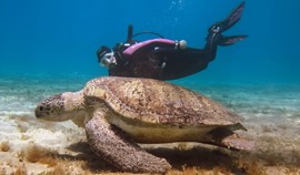 Torfet Ghalib, one of Port Ghalib’s diving sites that  you really would love to visit Photo